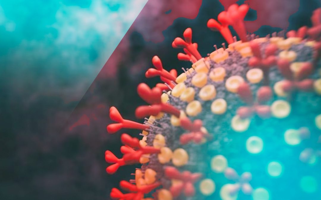 “Pirola” no perdamos de vista al enemigo: nueva variante del COVID