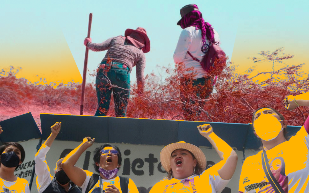 Madres buscadoras denuncian el borrado de sus hijos del censo de desaparecidos en México